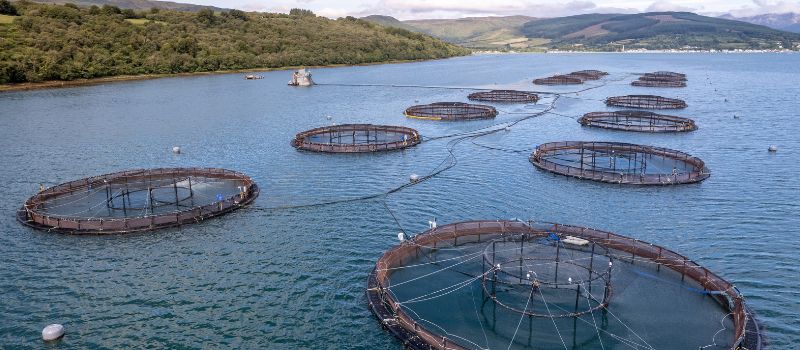 Expanded Clay Aggregate for Aquaculture and Fisheries Expanded Clay Aggregate for Aquaculture and Fisheries