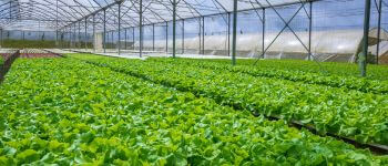 ECA Agriculture and Plant Systems