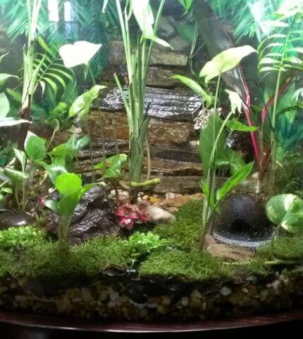 Terrarium Clay
