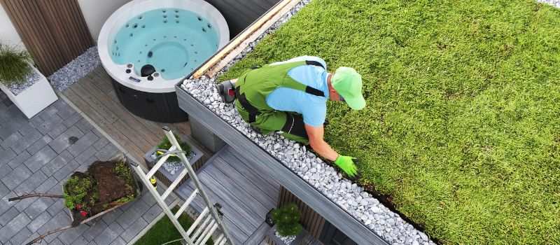green roof Green Roofs
