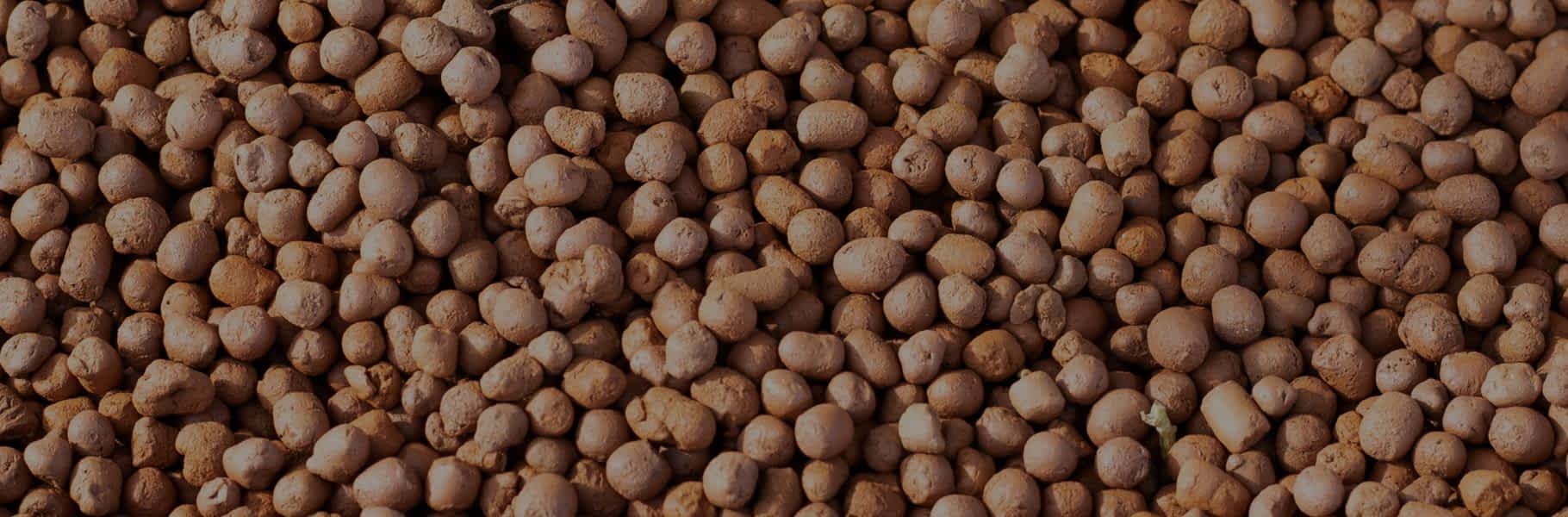 Revolutionizing Modern Building: Why Your Business Needs Lightweight Expanded Clay Aggregate 14 Expanded Clay Aggregate for Agriculture