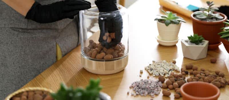 Soilless Growing Media Soilless Growing Media