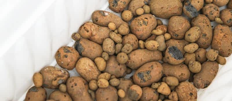 Substrate Systems Substrate Systems