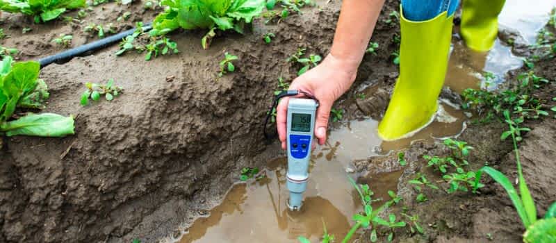 pH Management for plant pH control for plant