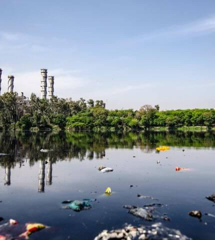 Environmental Management