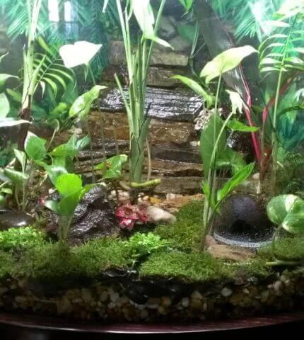 Terrarium Clay