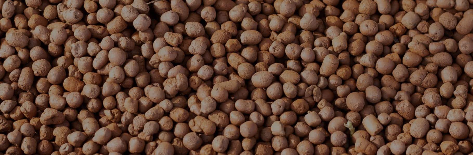 Revolutionizing Modern Building: Why Your Business Needs Lightweight Expanded Clay Aggregate 14 Expanded Clay Aggregate for Agriculture